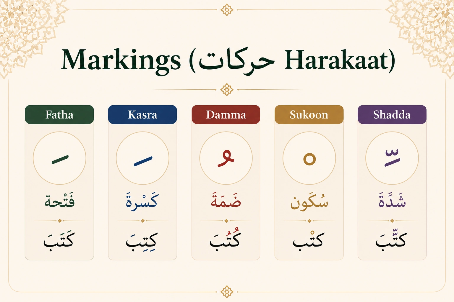 Chart of the five Arabic vowel markings — fatha, kasra, damma, sukoon, and shadda — shown on the word كتب