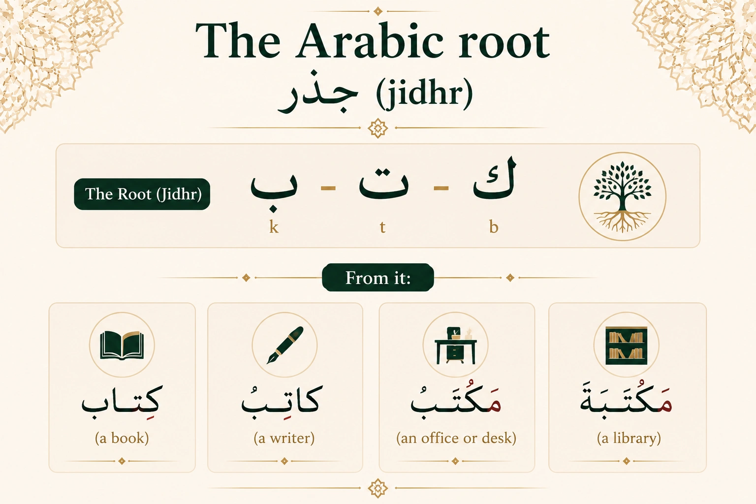 Diagram of the Arabic root ك-ت-ب (k-t-b) showing four related words: kitab (book), katib (writer), maktab (office), maktaba (library)