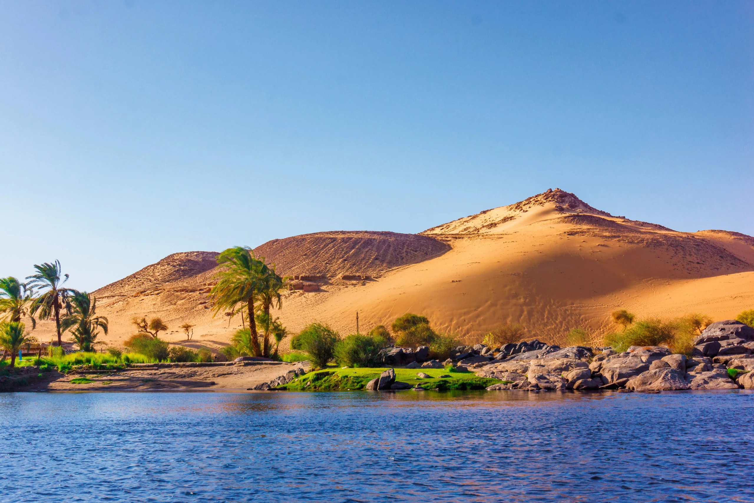 Nile River landscape with palm trees and desert dunes in Egypt